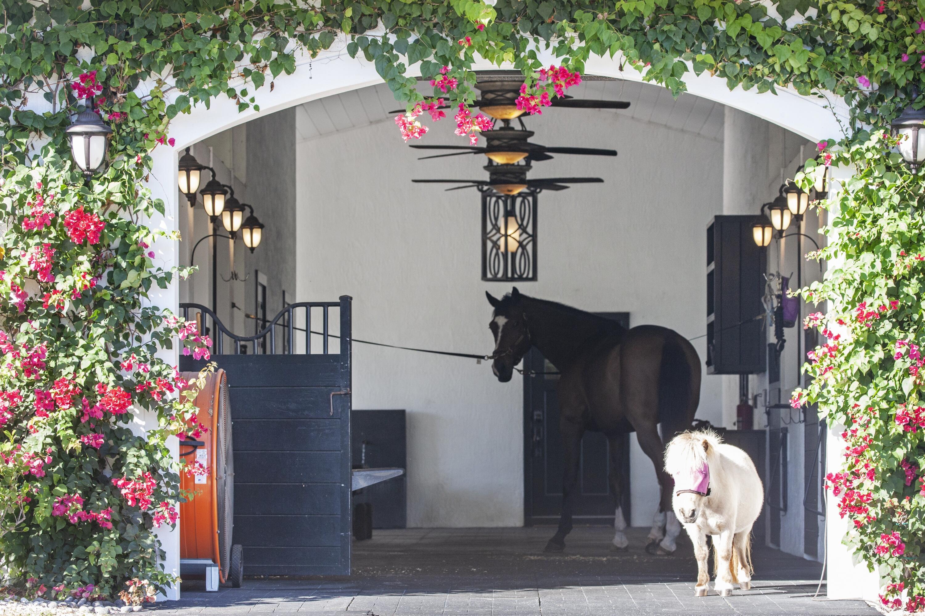 Rustic Ranches - Residential