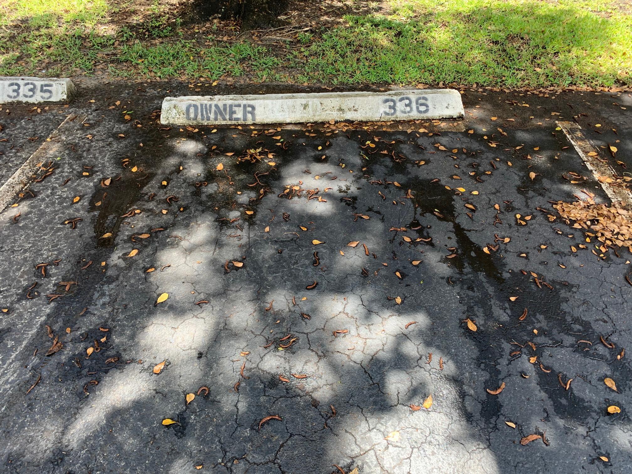 SANDS POINT CONDOMINIUM II - Residential