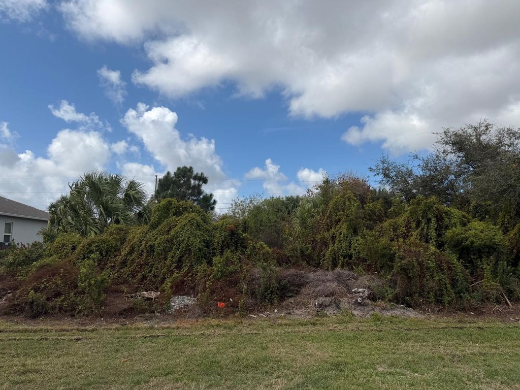 Photo of 1650 SW Hampshire Lane, Port Saint Lucie, FL 34953 (MLS # R11169729)