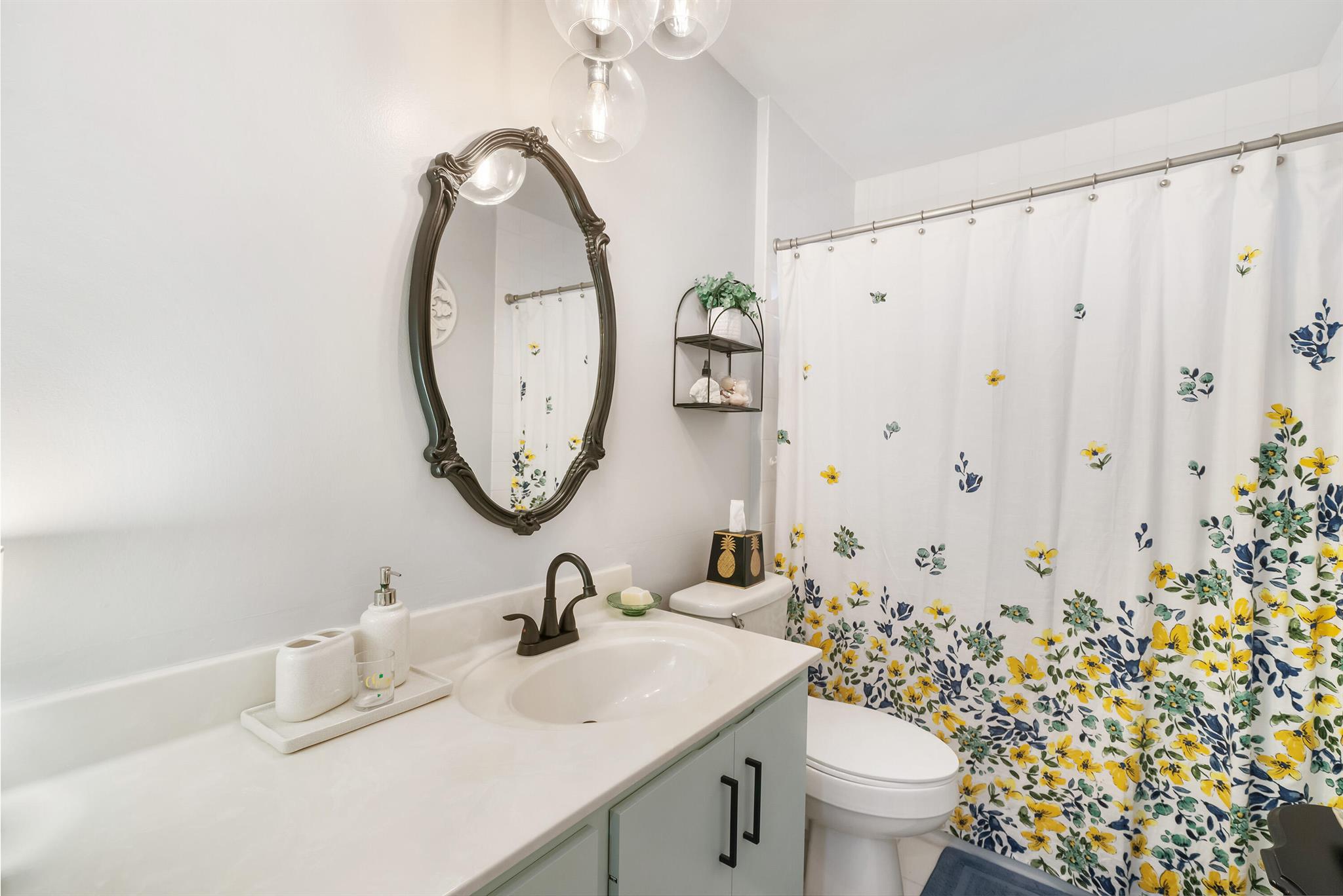 LAKE CATHERINE - Residential