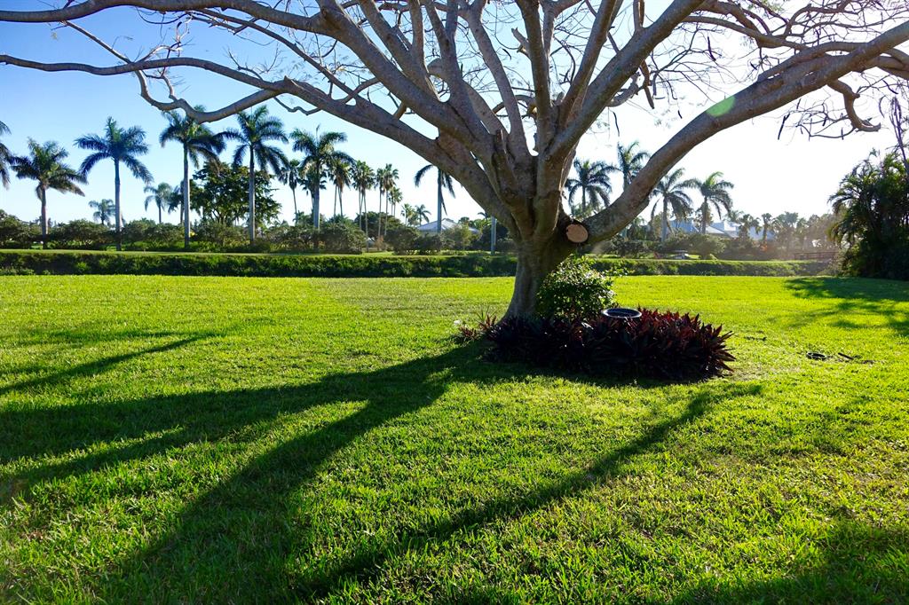 BOCA DELRAY - Residential