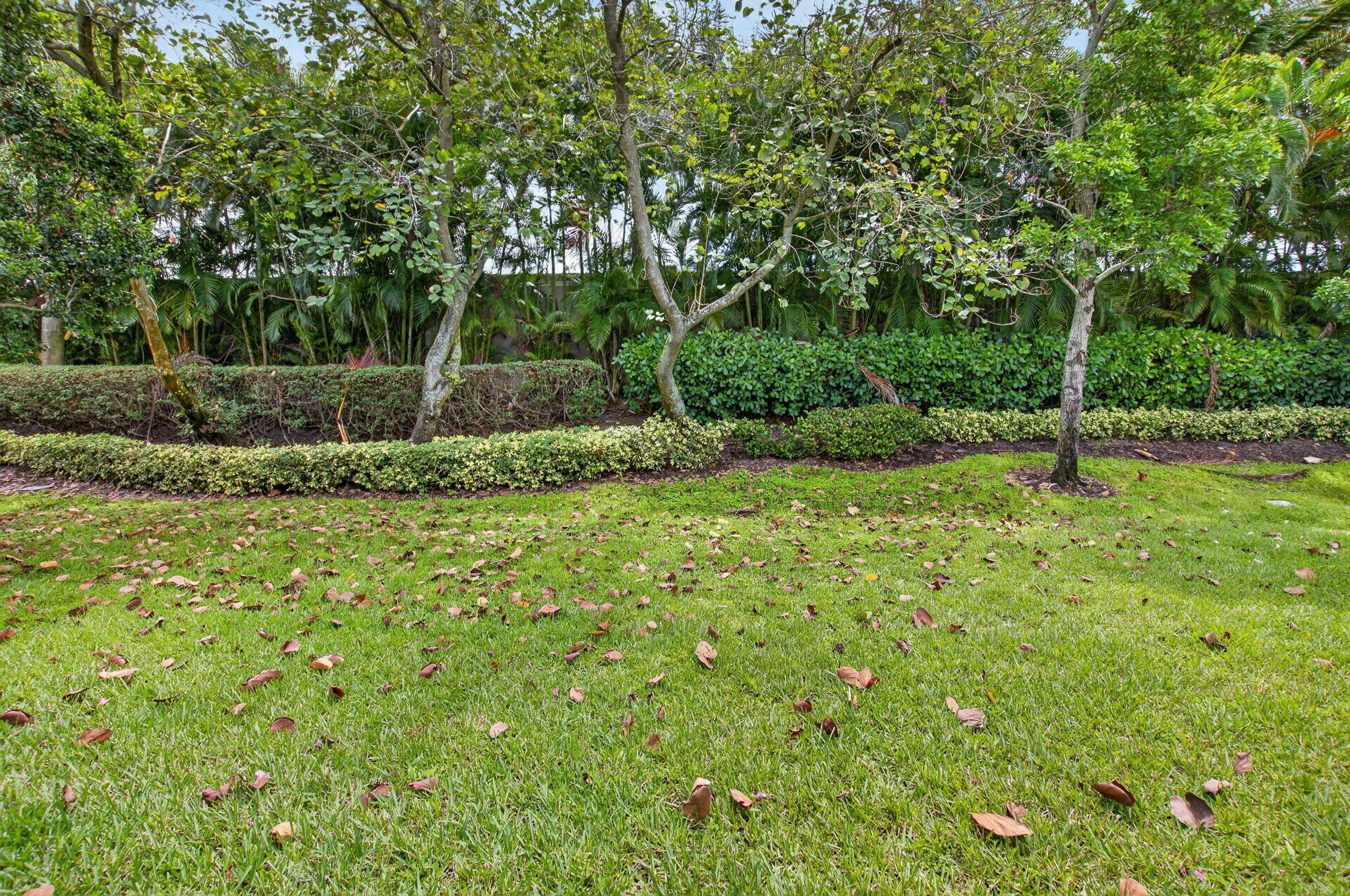 VALENCIA COVE AGR PUD PL 8 - Residential