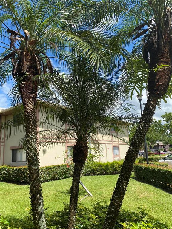 BELFORT I CONDO \ Kings Point - Residential