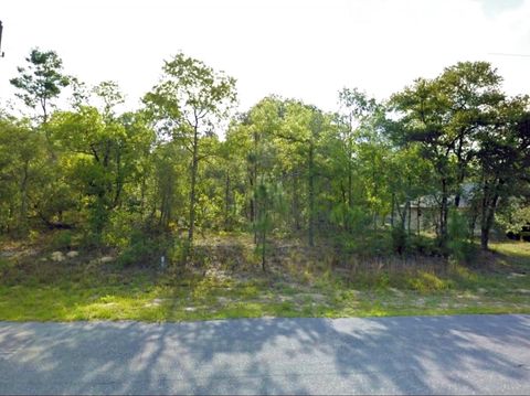 7020 N Maltese Drive Citrus Springs FL 34433