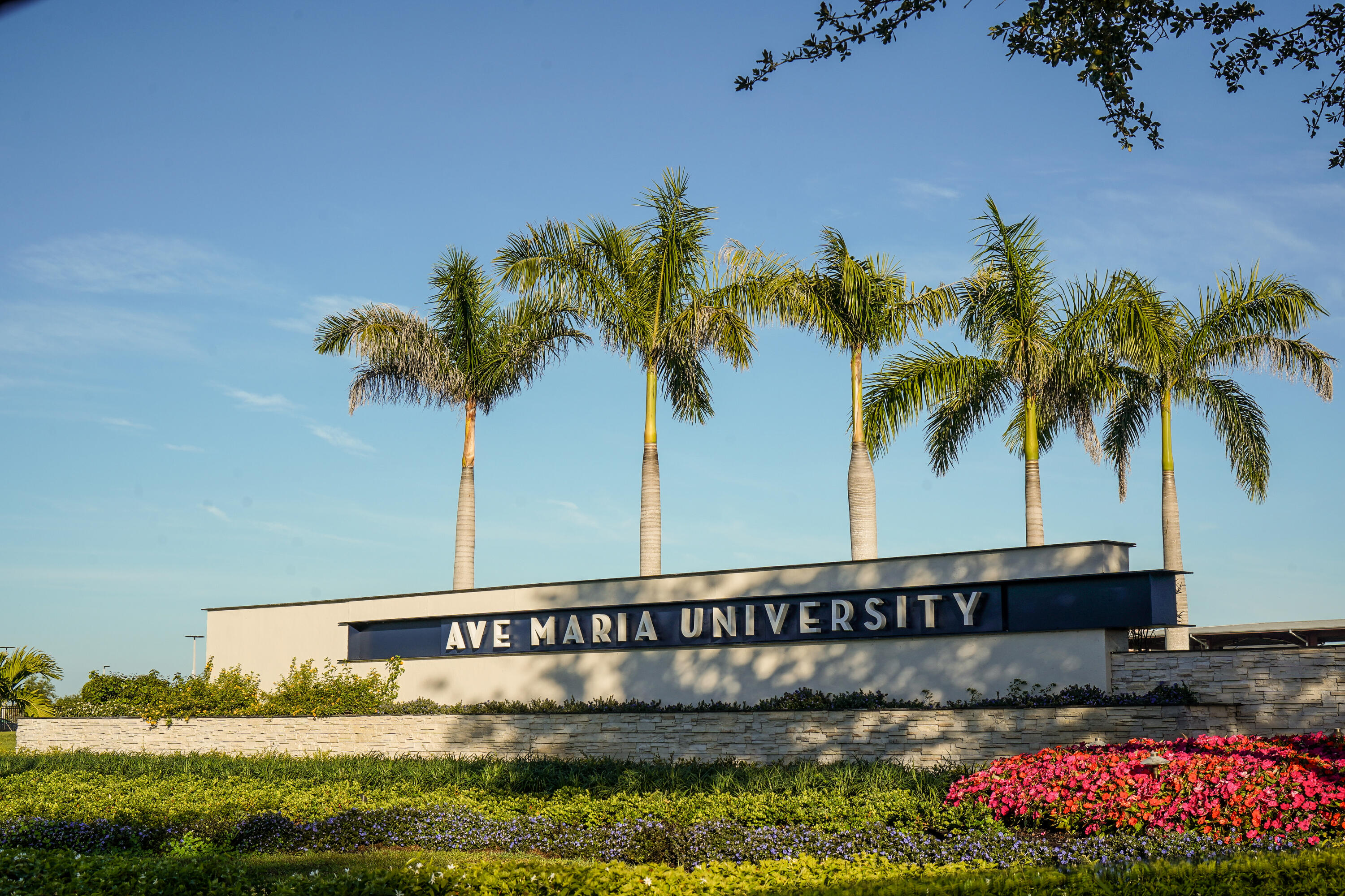 Del Webb Naples - Residential