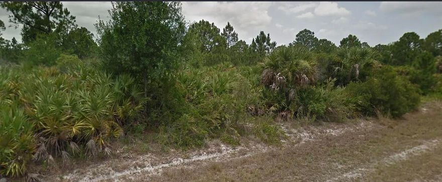 Introducing a stunning 1.25-acre lot located at a nice area of Clewiston, Fl, this beautiful property offers direct access to the Main Street, enjoy convenient access to both water and electricity, This is a rare opportunity to build your home sweet home. Don't miss the opportunity and drive by to feel in love of this lot.