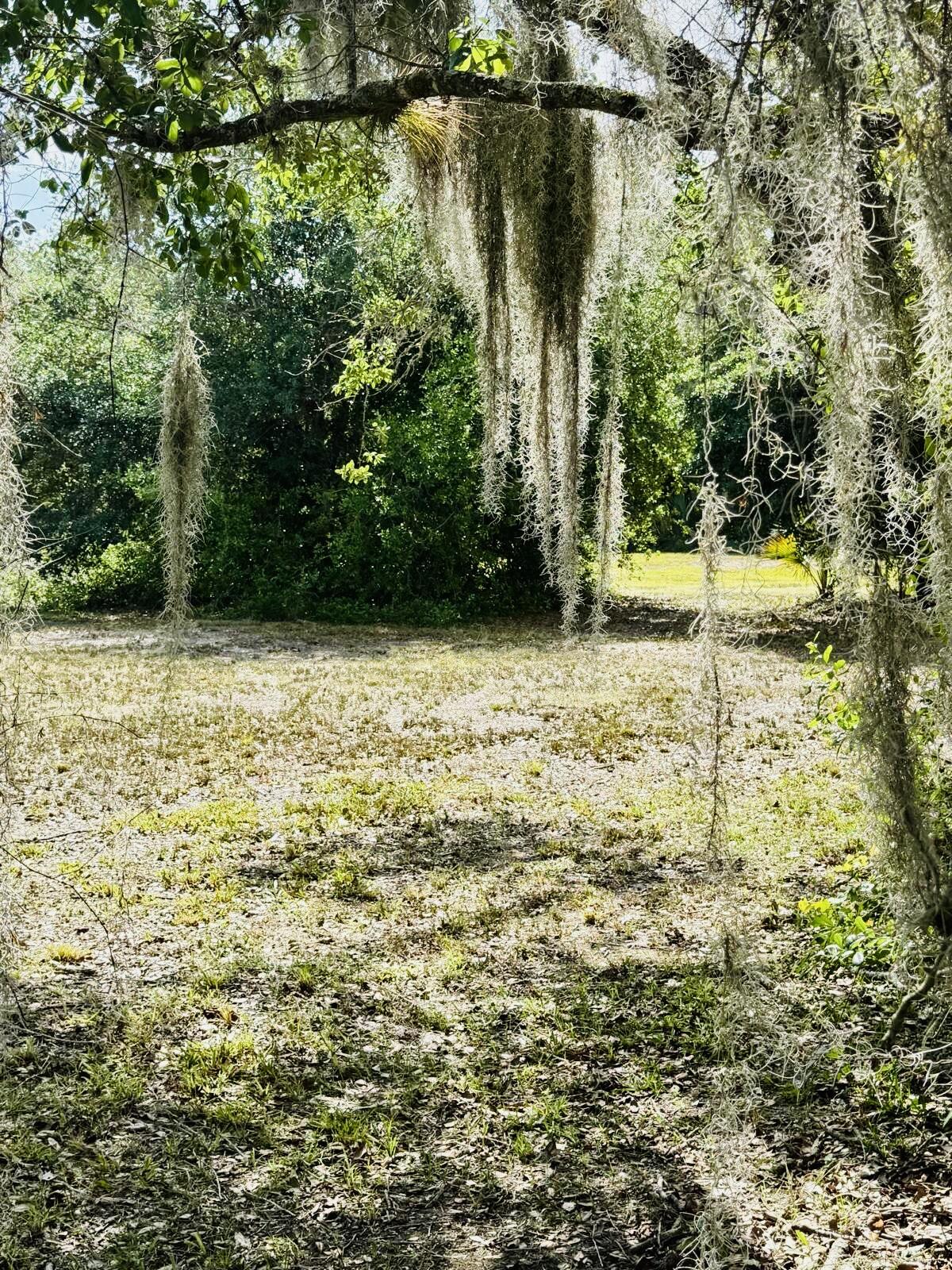 SOUTHERN COLONIZATION COMPANY PLAT - Land