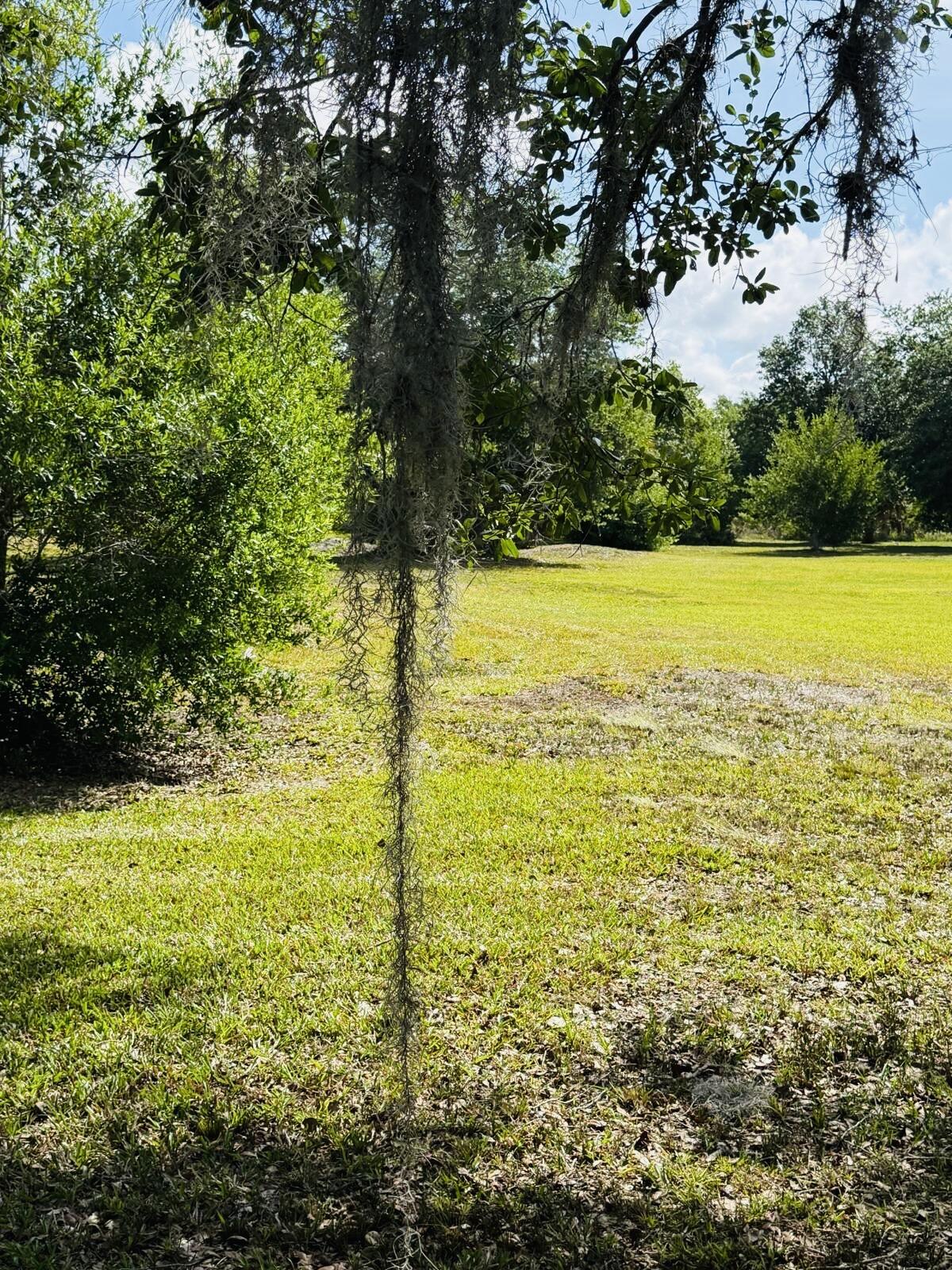 SOUTHERN COLONIZATION COMPANY PLAT - Land