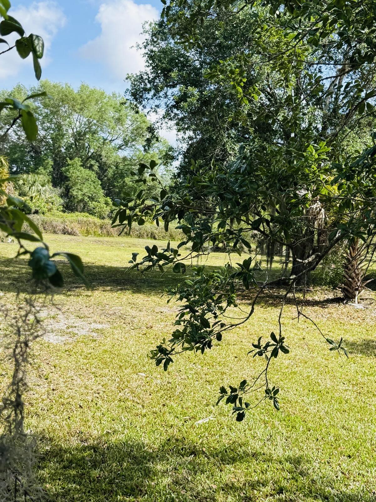 SOUTHERN COLONIZATION COMPANY PLAT - Land