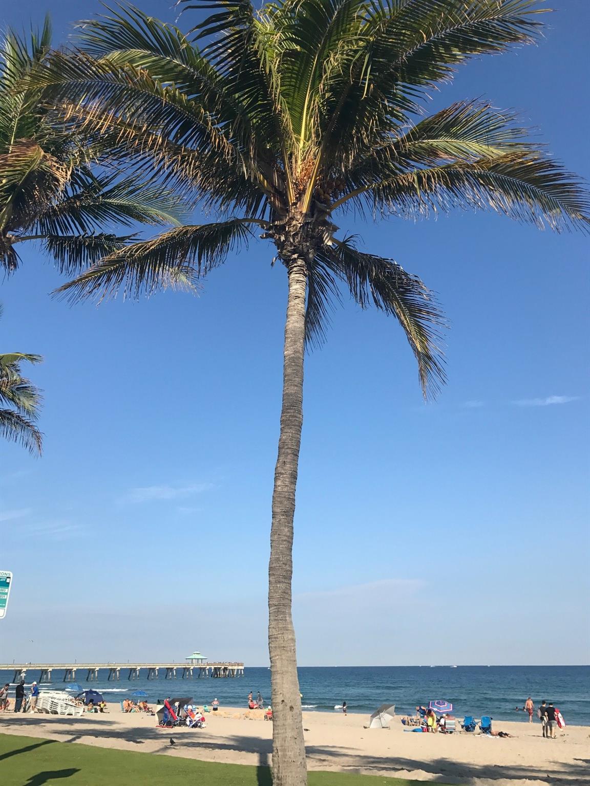 Deerfield Beach 4-4 B - Residential Lease