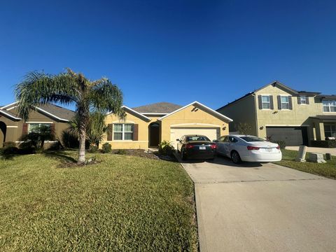 16221 Yelloweyed Drive Clermont FL 34714