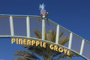 Lake Ida - Residential