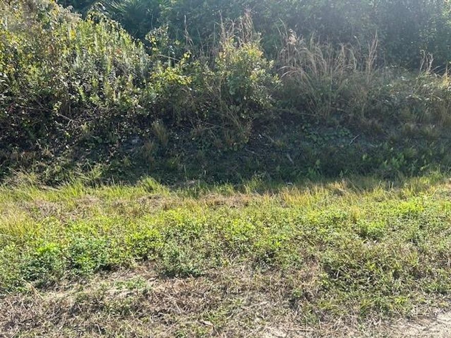 Residential 1.25 acres in Okeechobee. Build, camp, hunt and ride. 
No neighbors, quiet street