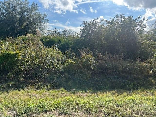 The Viking Estates - Land