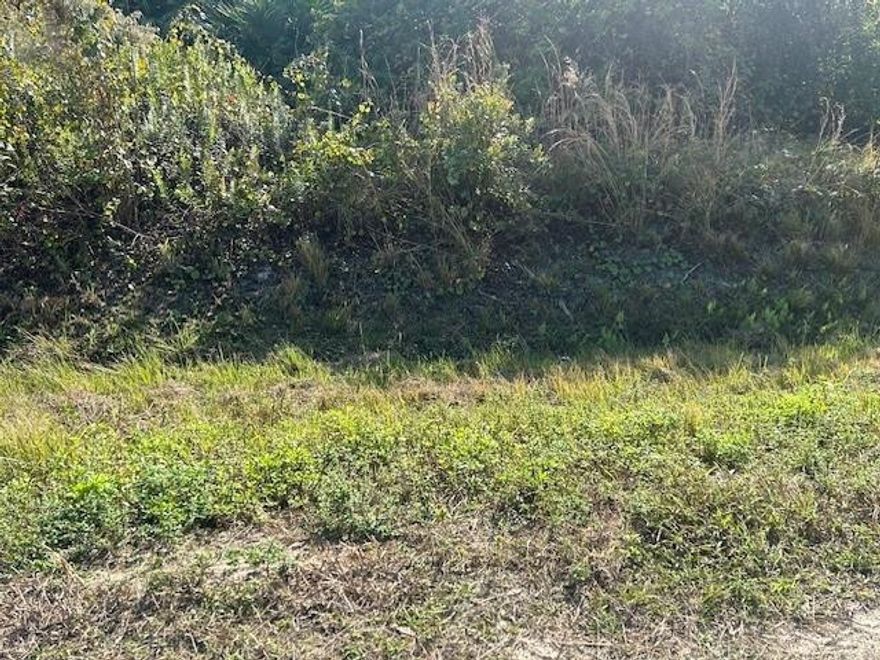 Residential 1.25 acres in Okeechobee. Build, camp, hunt and ride. No neighbors, quiet street