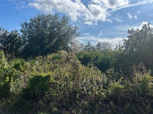 The Viking Estates - Land