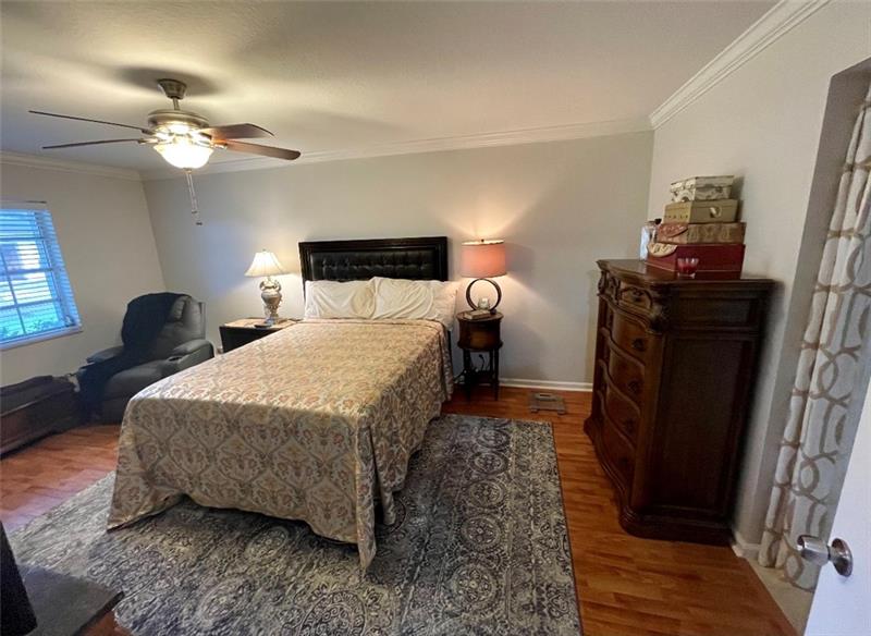 Lime tree - Residential