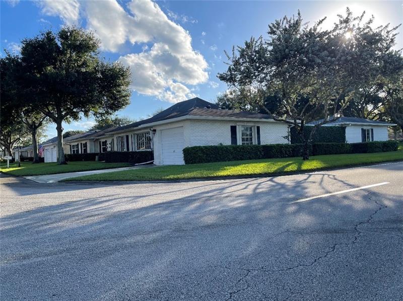Lime tree - Residential