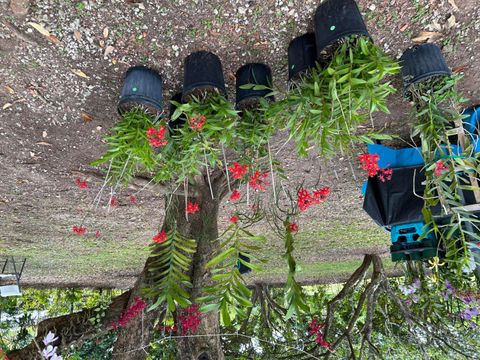 Tiny photo for 6220 Kelty Way, Lake Worth, FL 33467 (MLS # B26014379)