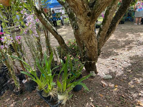 Tiny photo for 6220 Kelty Way, Lake Worth, FL 33467 (MLS # B26014379)