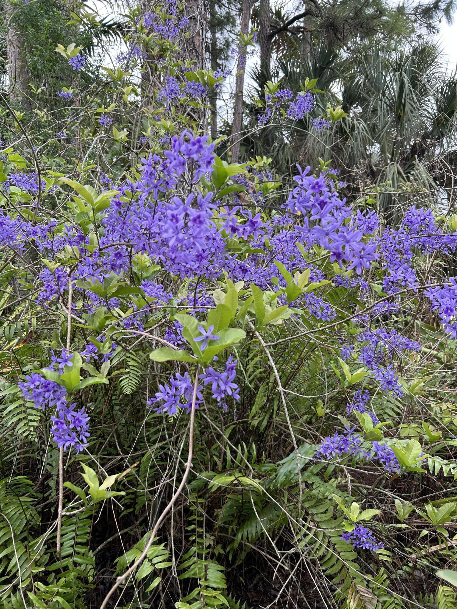 SHERBROOKE - Residential
