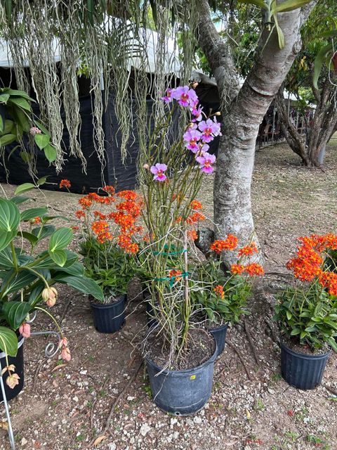 Tiny photo for 6220 Kelty Way, Lake Worth, FL 33467 (MLS # B26014379)