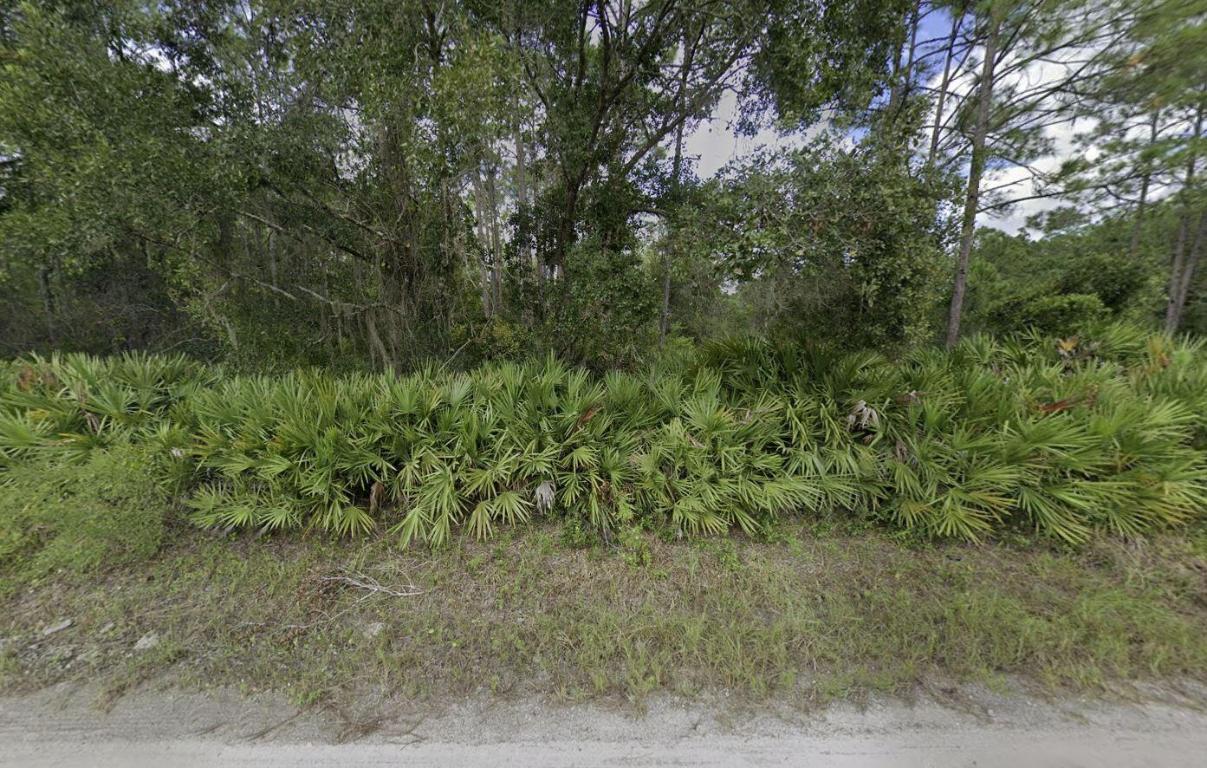 RIO DE ST JOHN - Land