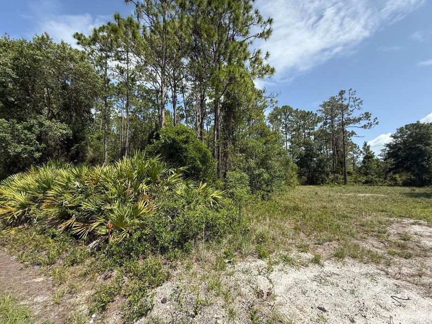 Owner financing available. Do not miss out on this beautiful vacant 0.26-acre lot in Putnam County. The location is very convenient, with schools, a variety of restaurants, diners, and parks all just minutes away. Additionally, it's only a short drive to the St. Johns River, the town of Welaka, and the beautiful Crescent Lake in Crescent City. If you're considering purchasing property in Florida, this could be the perfect chance. Investing in land here can be a solid step towards your future.