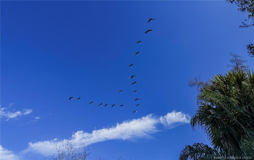 Okeechobee, Florida, 34972, United States, ,Land,Active,2013388