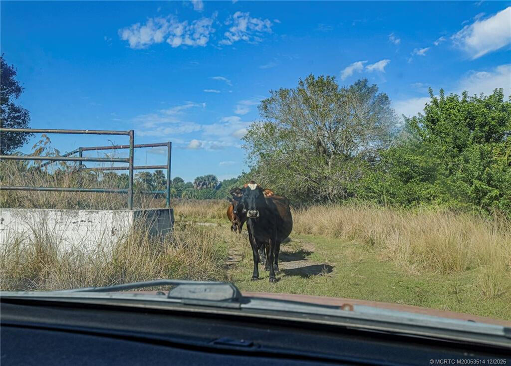 Okeechobee, Florida, 34972, United States, ,Land,Active,2013388