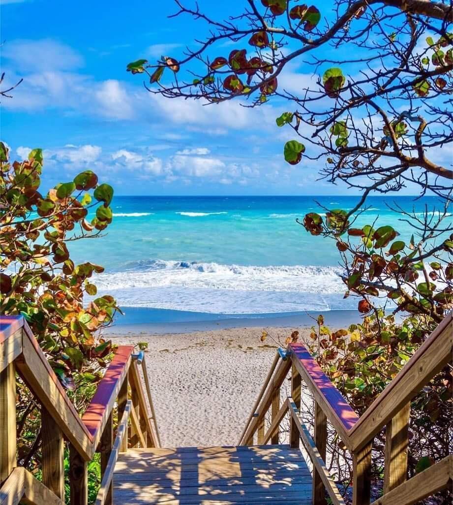 OCEANSIDE TERRACE CONDO - Residential Lease