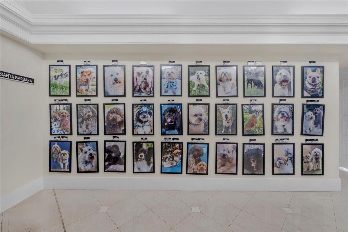 Santa Barbara - Residential