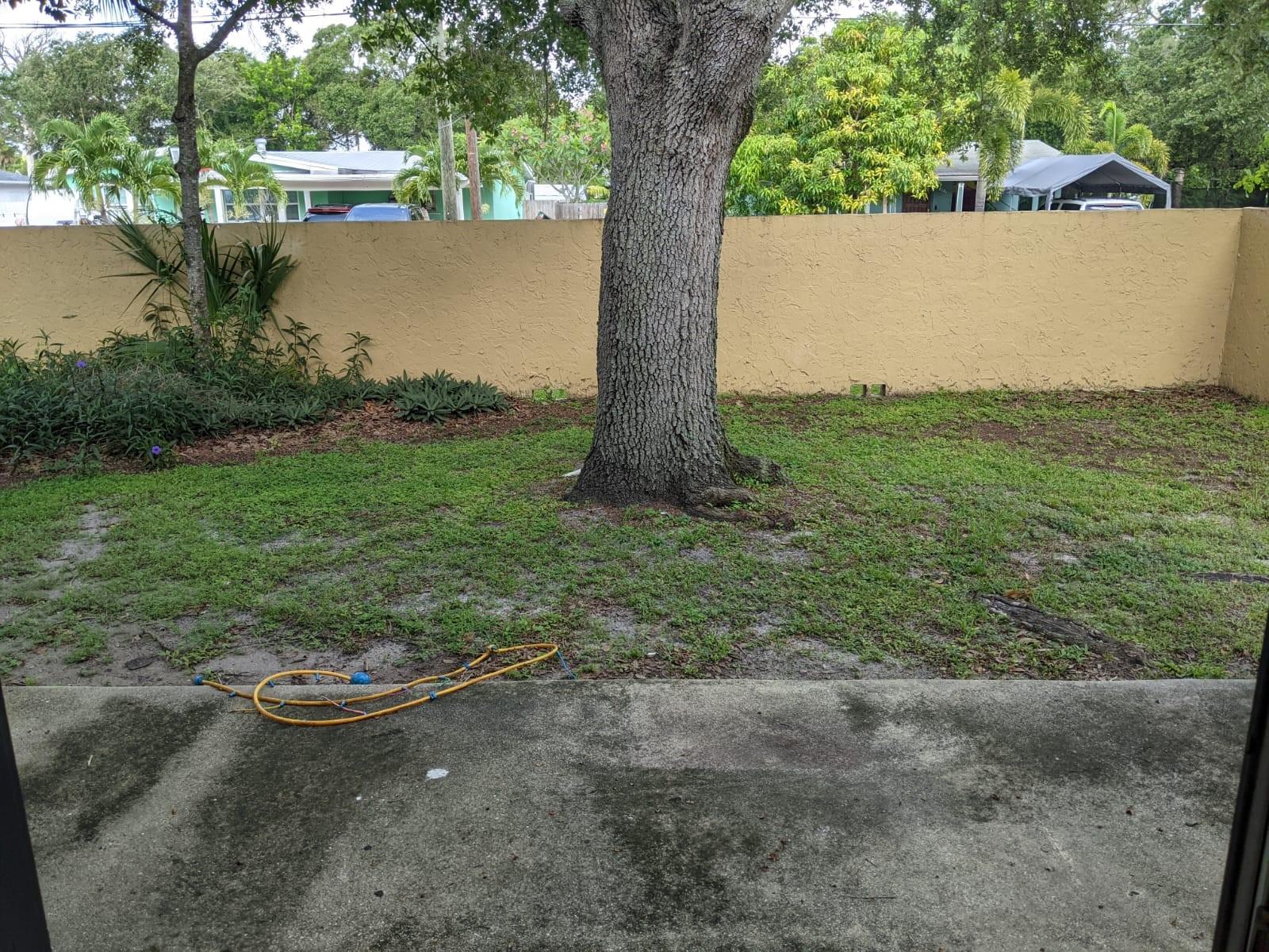Southern Courtyard - Residential