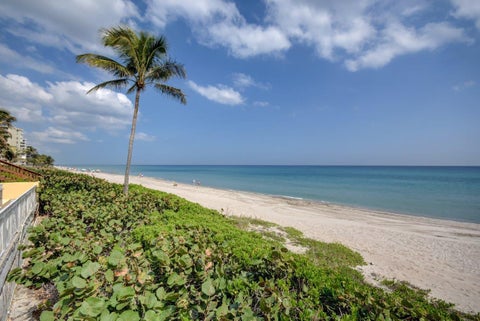 Tiny photo for 3301 S Ocean Boulevard #205, Highland Beach, FL 33487 (MLS # B26073442)