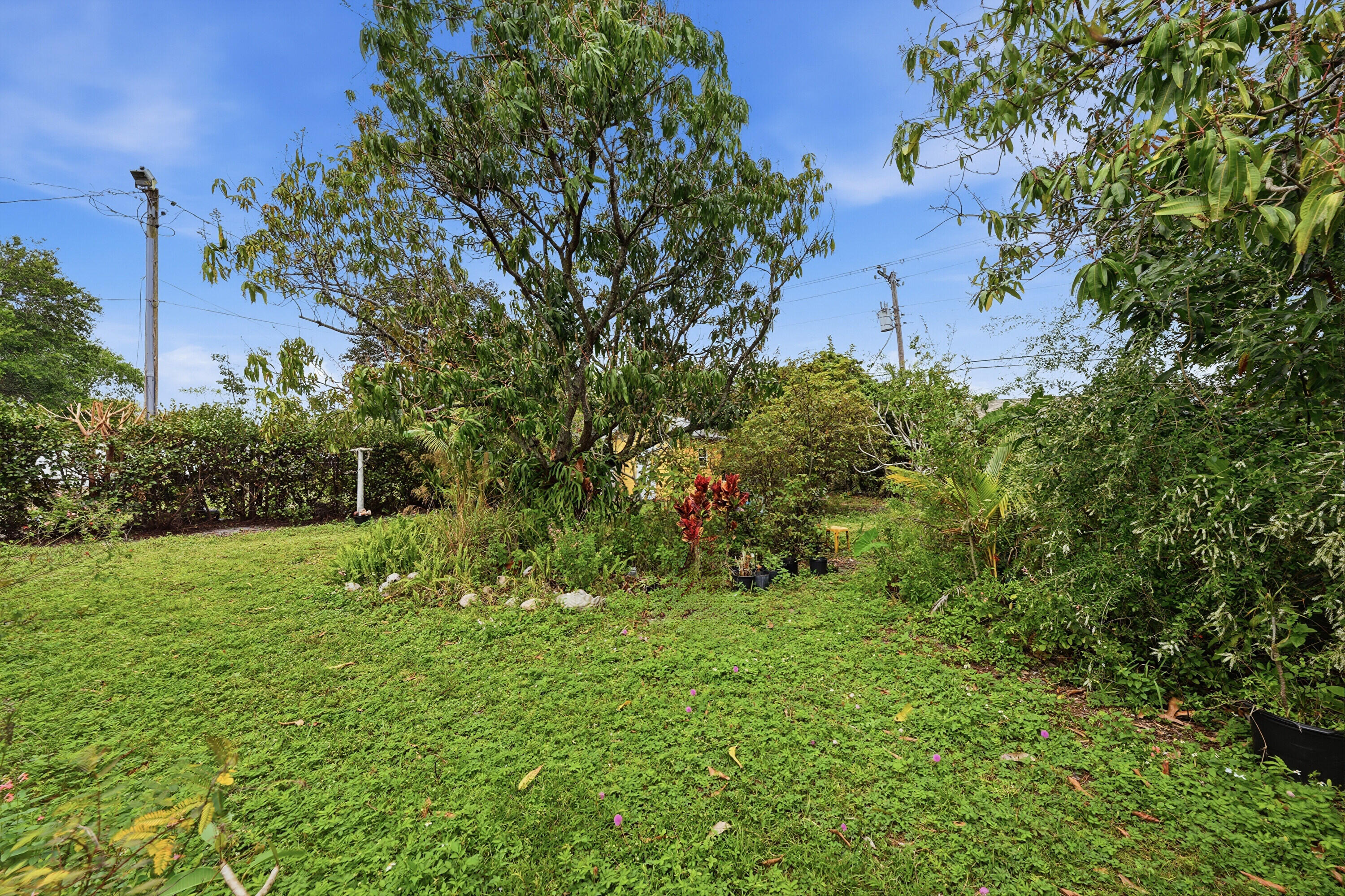 HOLLYWOOD LITTLE RANCHES - Residential