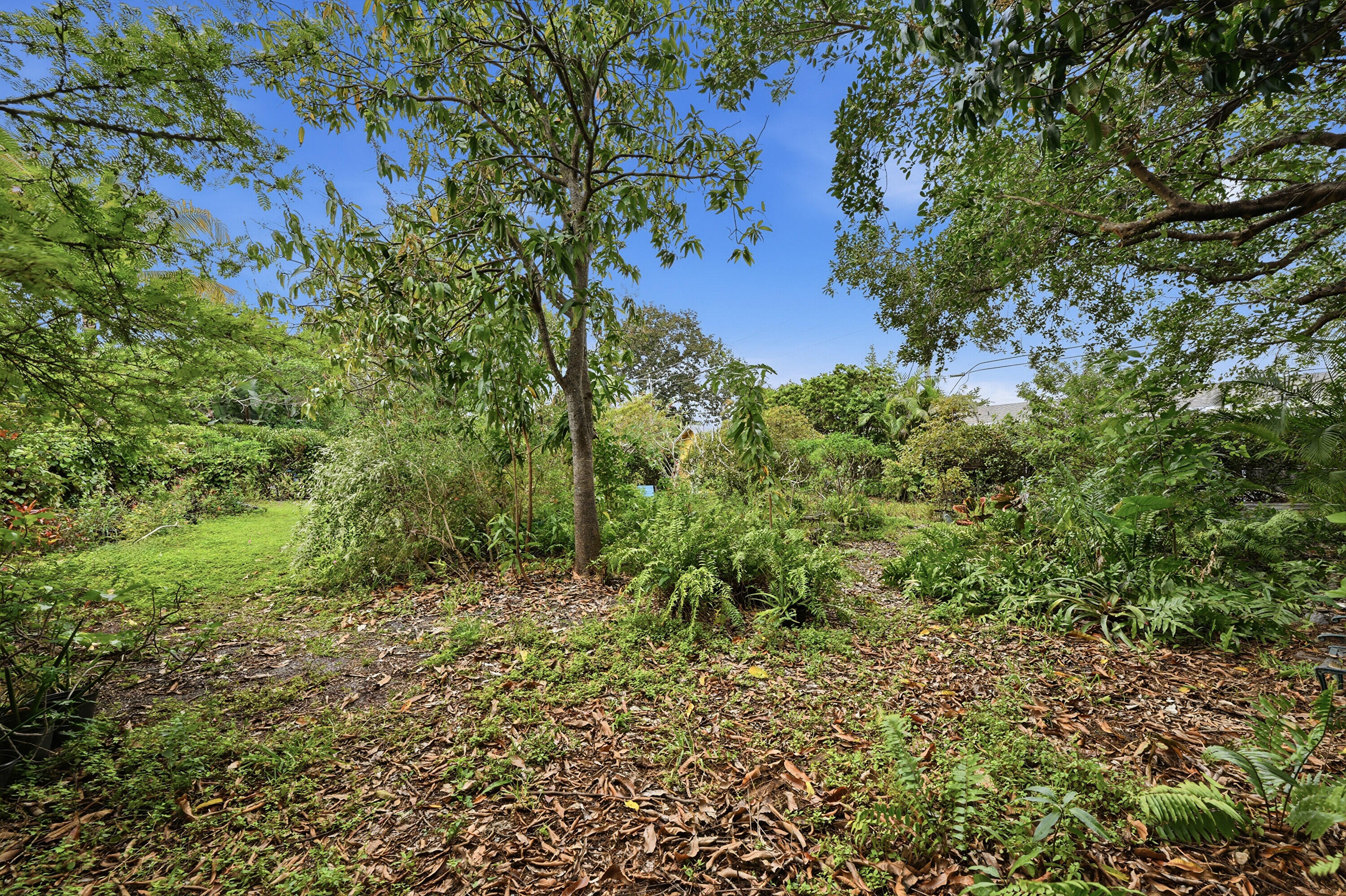 HOLLYWOOD LITTLE RANCHES - Residential