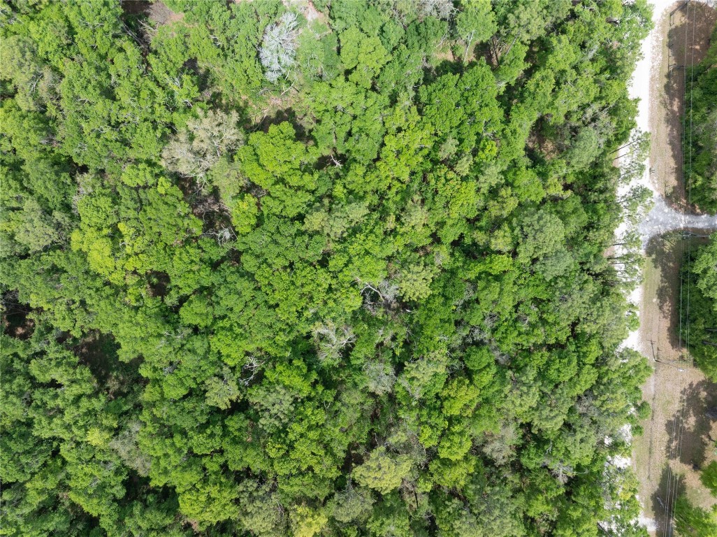 Lot 17 Suwannee Oaks - Land