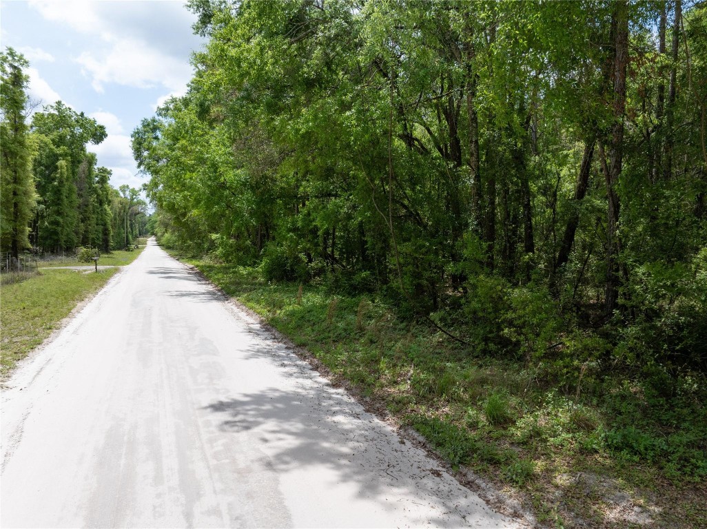 Lot 17 Suwannee Oaks - Land