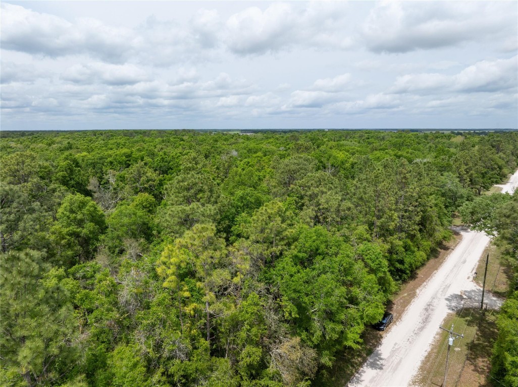Lot 17 Suwannee Oaks - Land