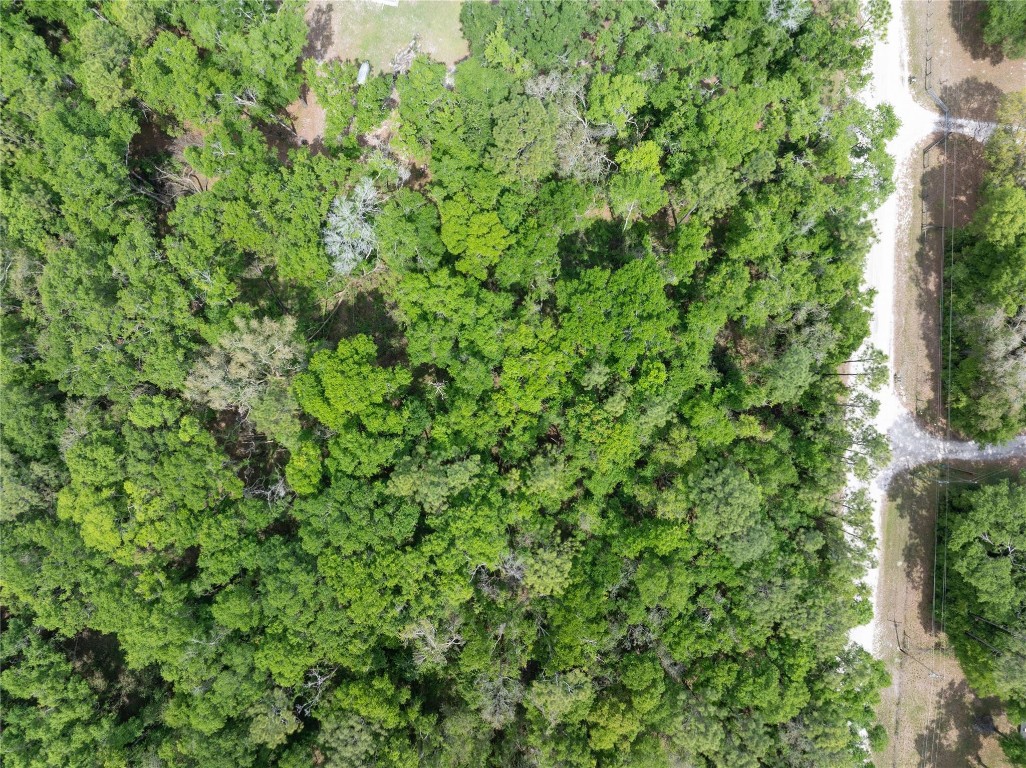 Lot 17 Suwannee Oaks - Land
