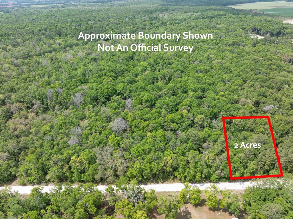 Lot 17 Suwannee Oaks - Land