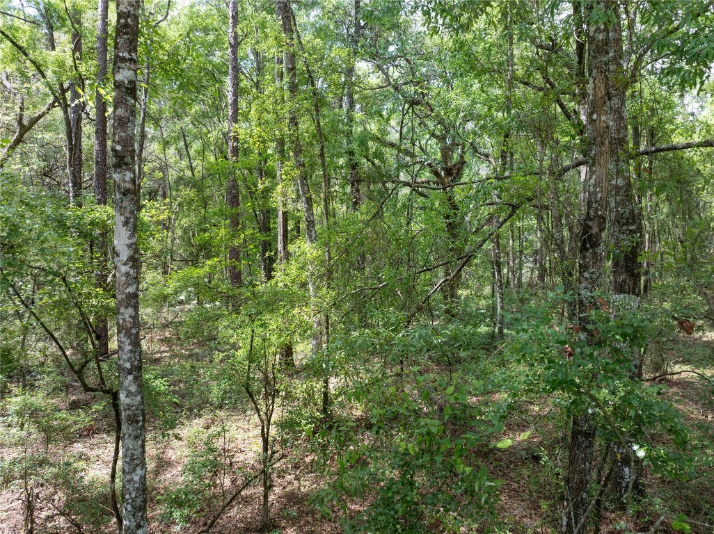 Lot 17 Suwannee Oaks - Land