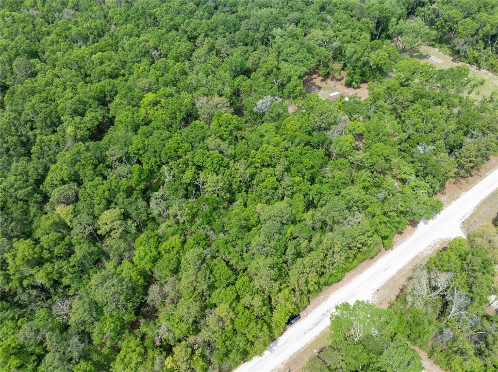 Lot 17 Suwannee Oaks - Land