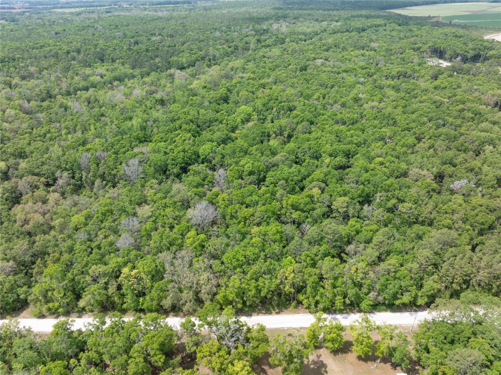 Lot 17 Suwannee Oaks - Land