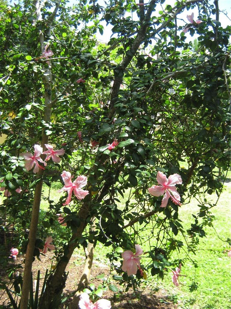 VILLAGE PARK - Residential Lease