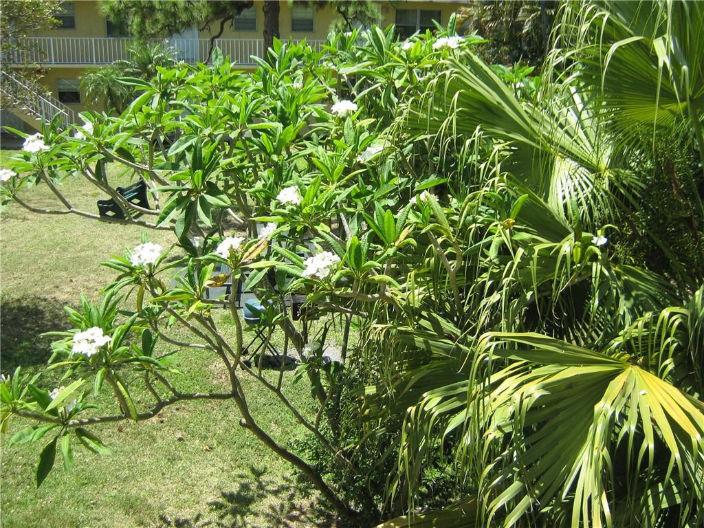 VILLAGE PARK - Residential Lease