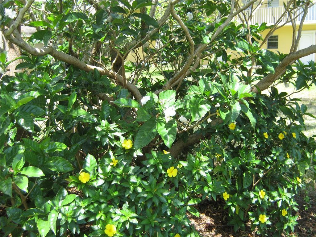 VILLAGE PARK - Residential Lease