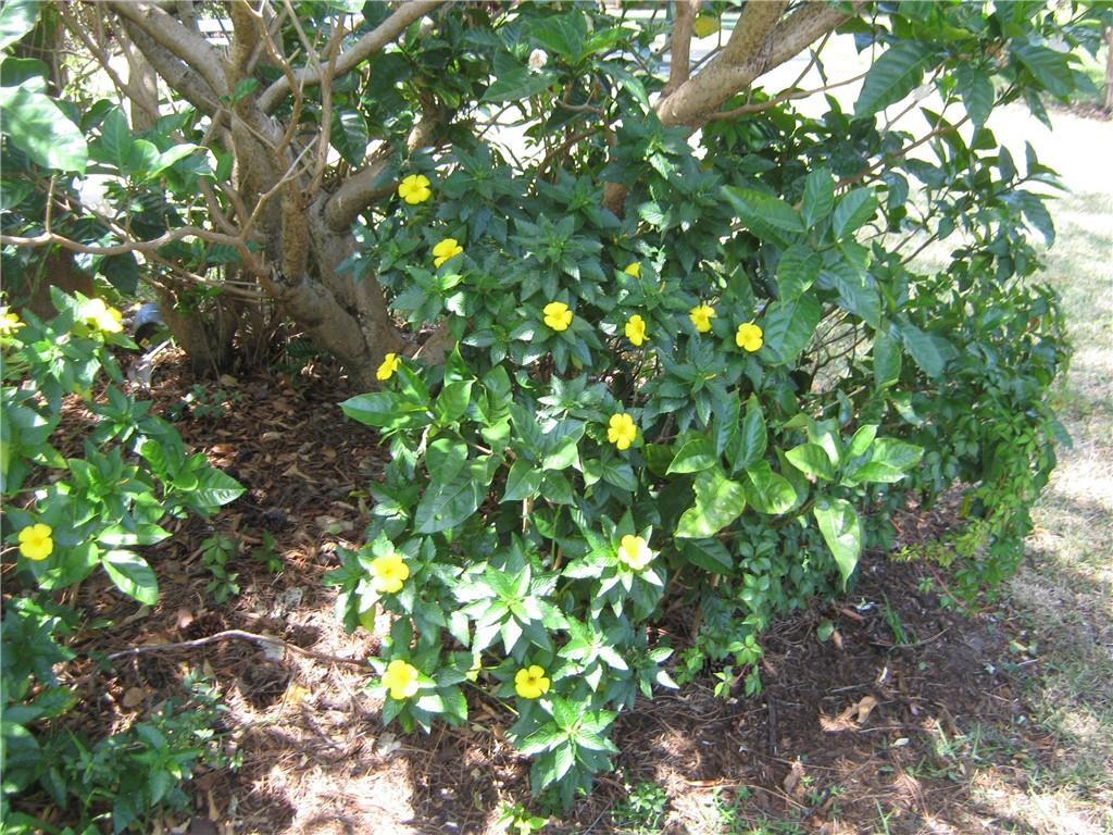 VILLAGE PARK - Residential Lease