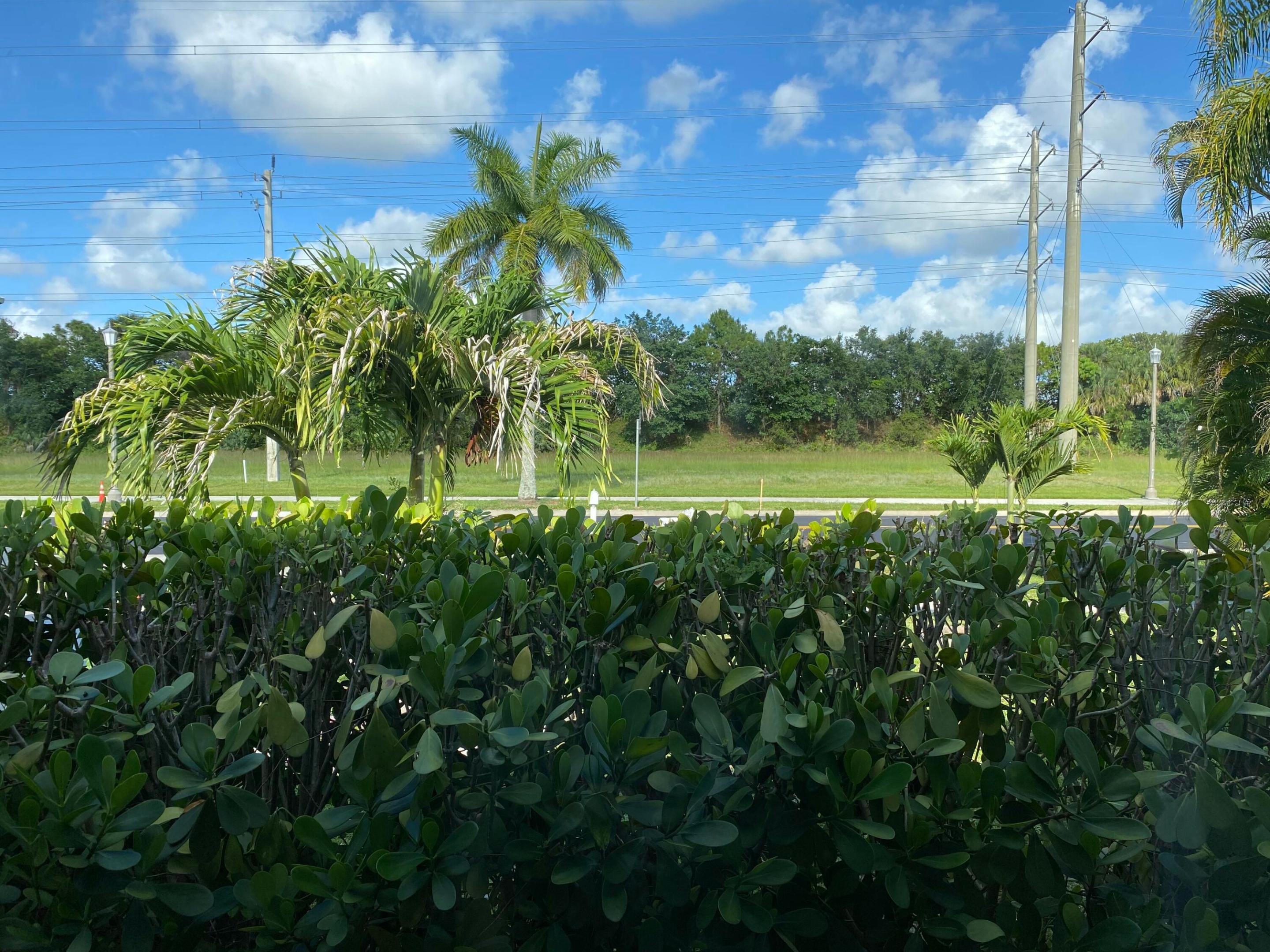 View photos, virtual tours, details... 300 La Mancha Avenue