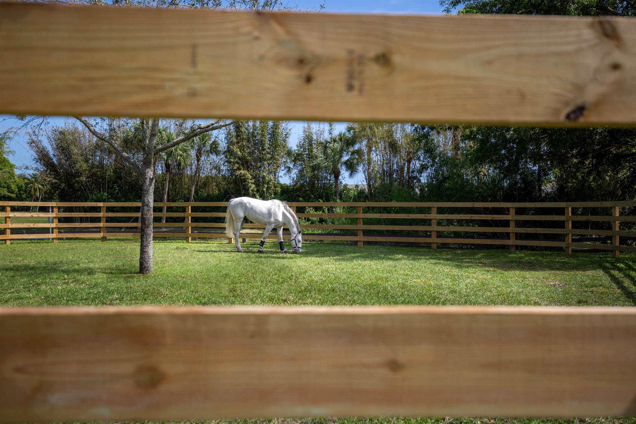 GRAND PRIX FARMS - Residential